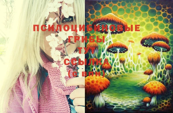 амф Абинск