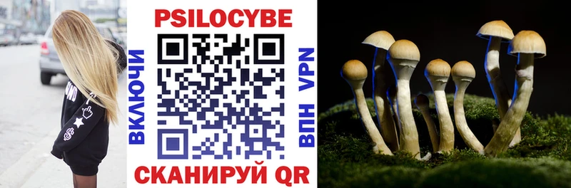 Псилоцибиновые грибы GOLDEN TEACHER  купить   Шиханы 