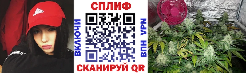 Шишки марихуана гибрид Шиханы